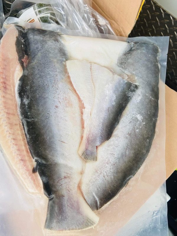 Khô cá dứa 1 nắng 25$