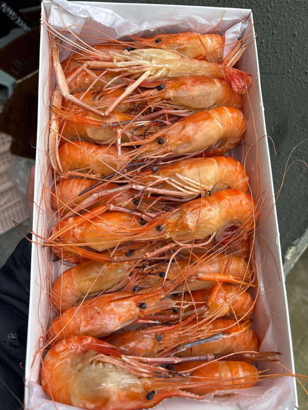 Tôm càng hấp nước dừa