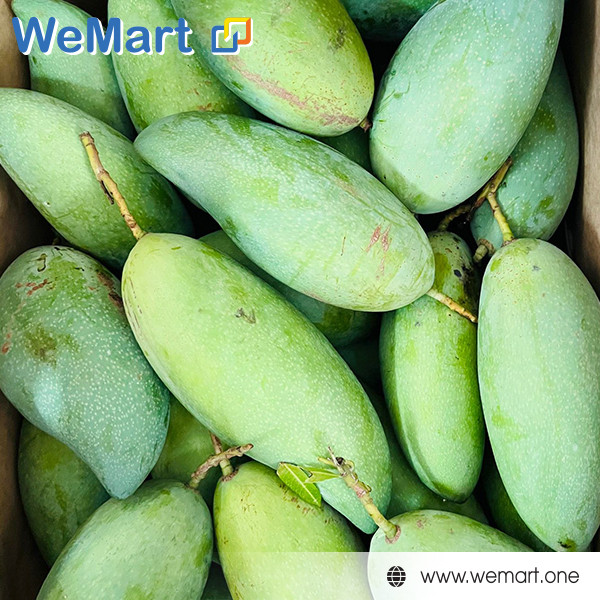 Xoài Flan  mix size