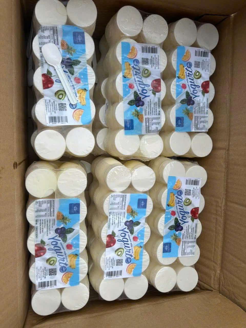 Sữa chua truyền thống 17$ 12 hộp