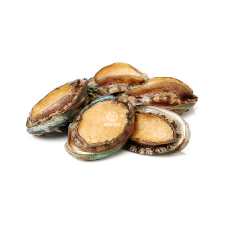 Bào ngư  100$ 3 kg