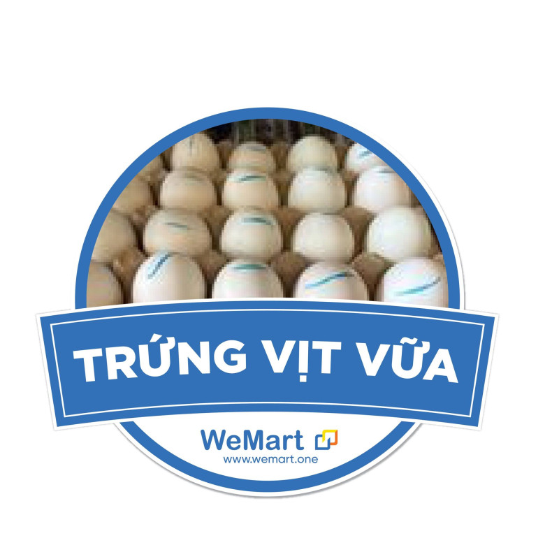 Trứng vịt vữa