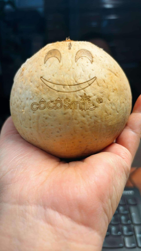 Dừa Xiêm Bến Tre đông đá 35$