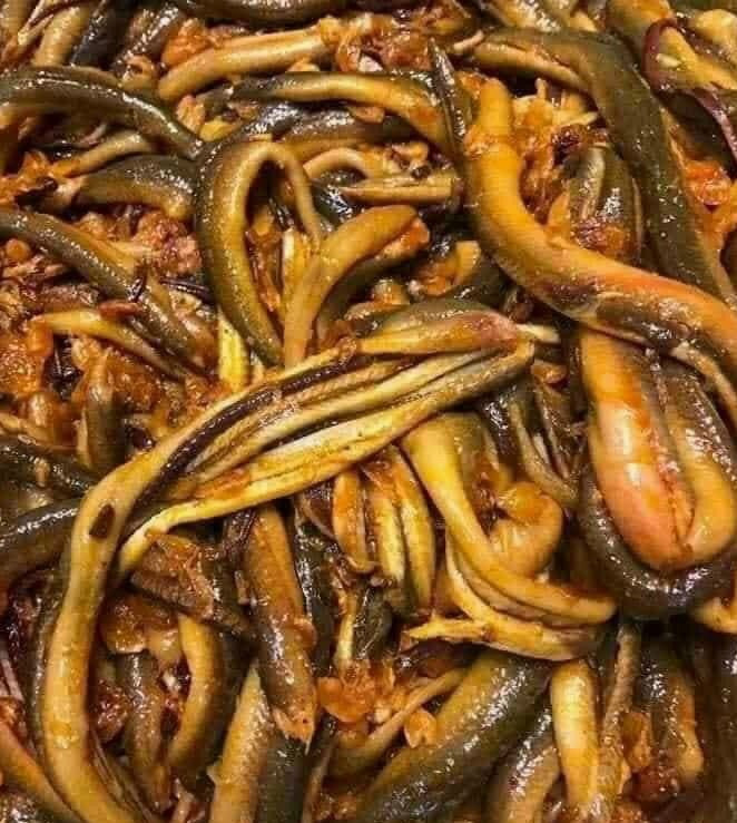 Lươn đồng Nghệ An Ướp Sẵn