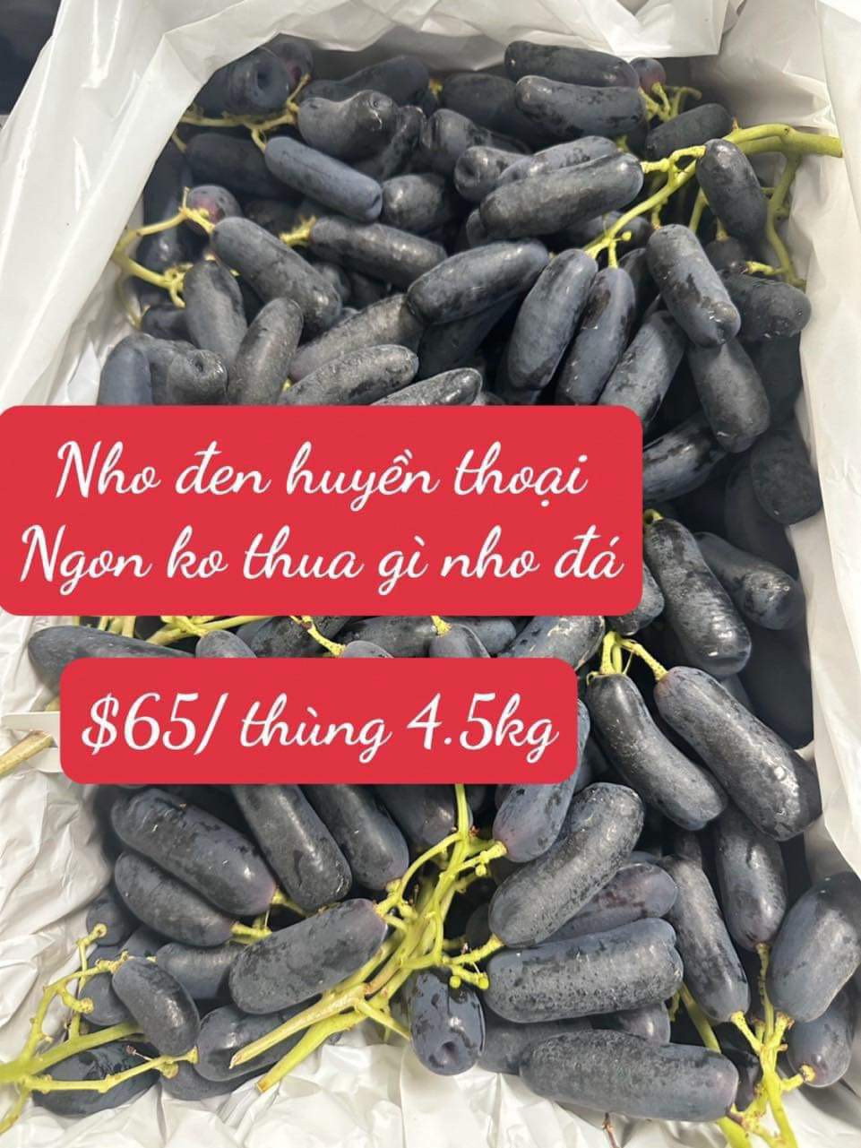 Nho móng tay 65$